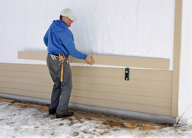 Best Siding Removal and Disposal  in Homer, IL